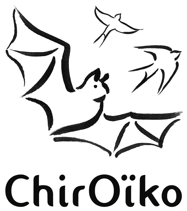 logo Chiroïko